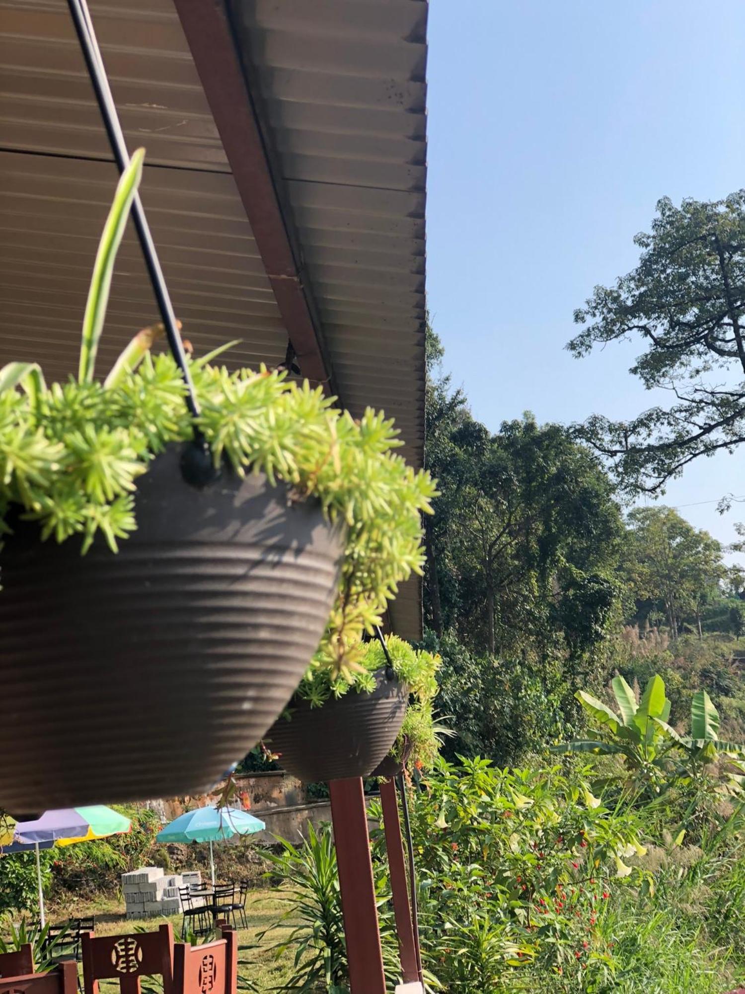Into The Wild Pokhara Villa Kāskī Екстериор снимка