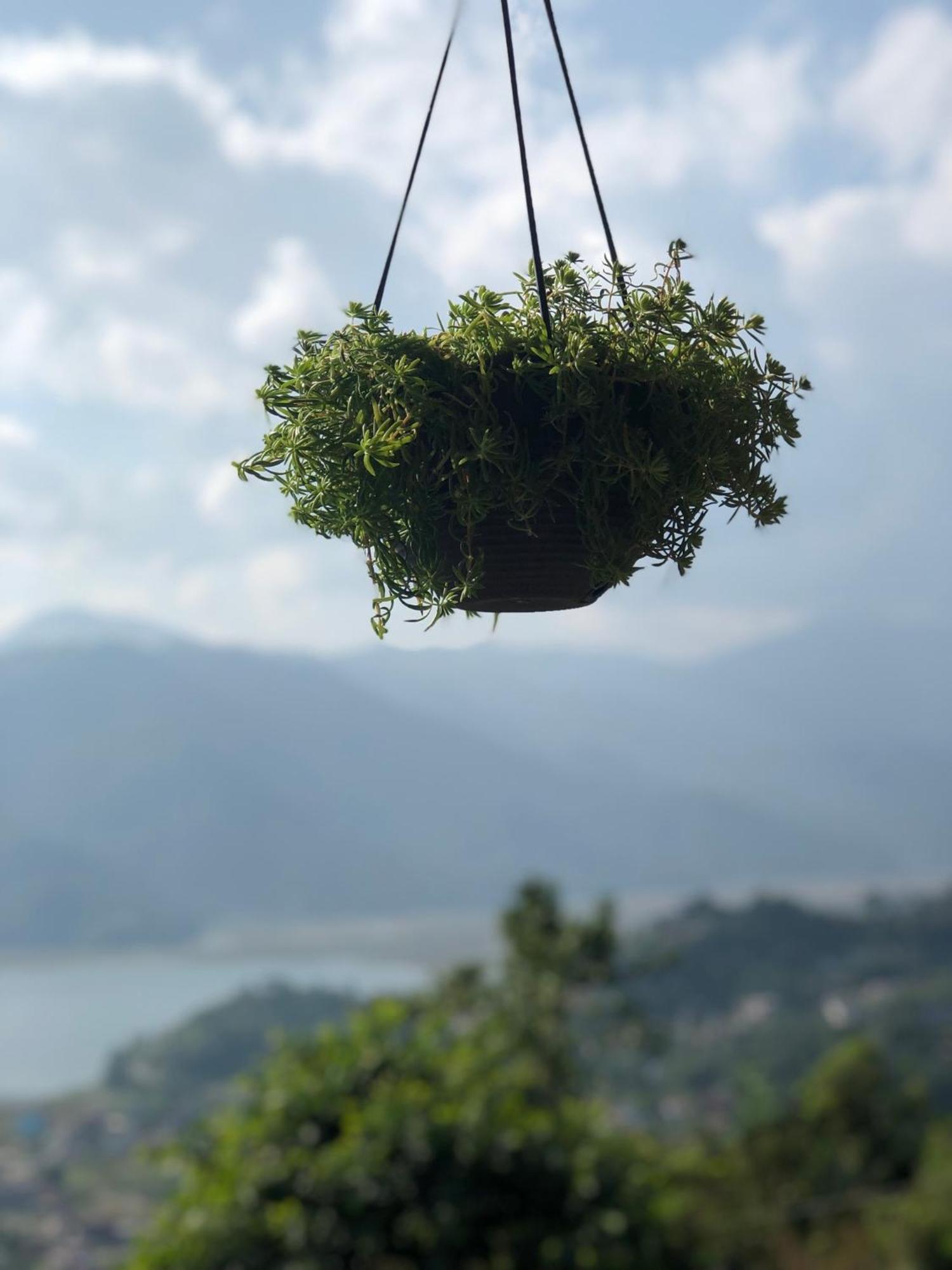 Into The Wild Pokhara Villa Kāskī Екстериор снимка