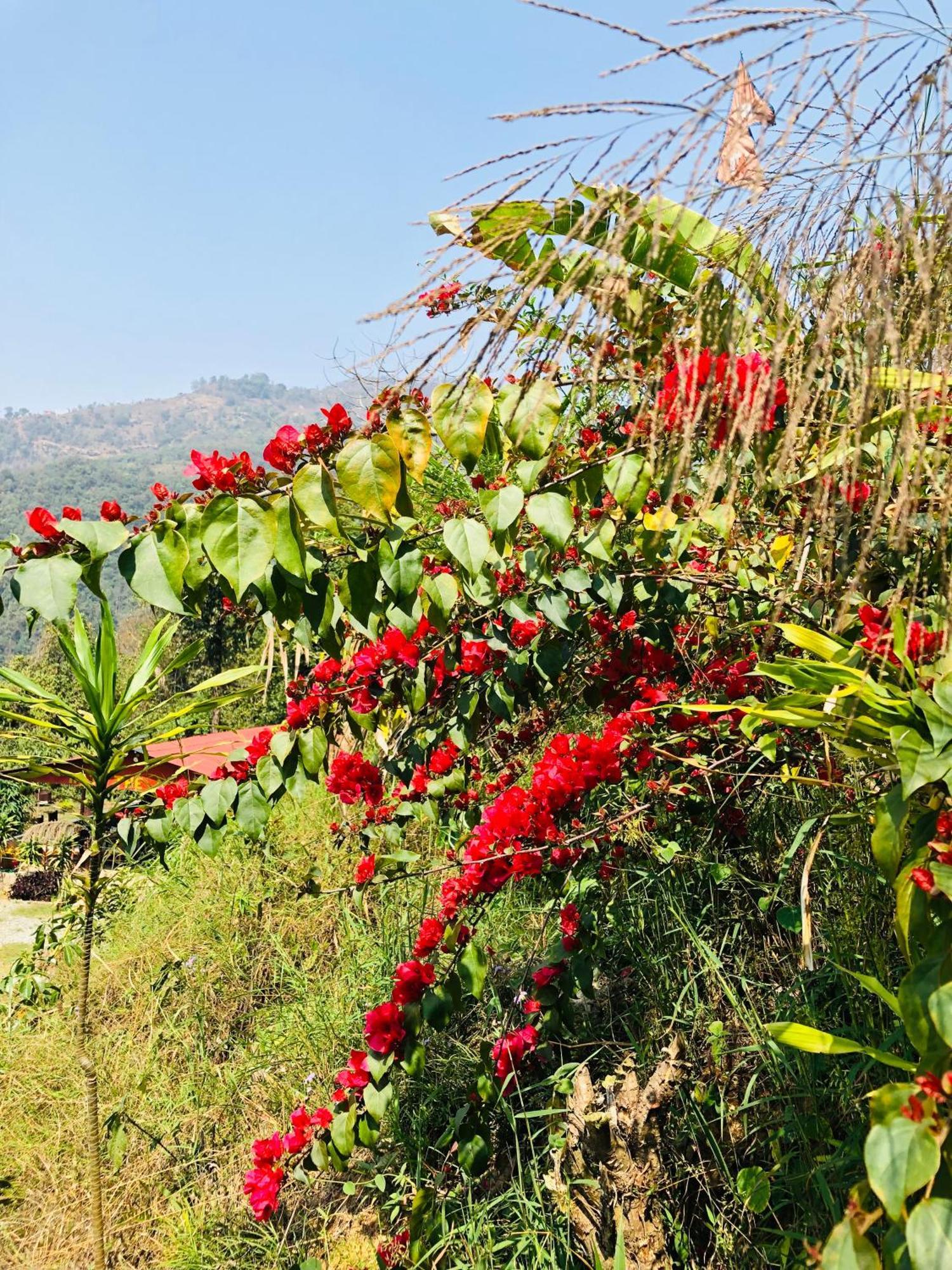 Into The Wild Pokhara Villa Kāskī Екстериор снимка