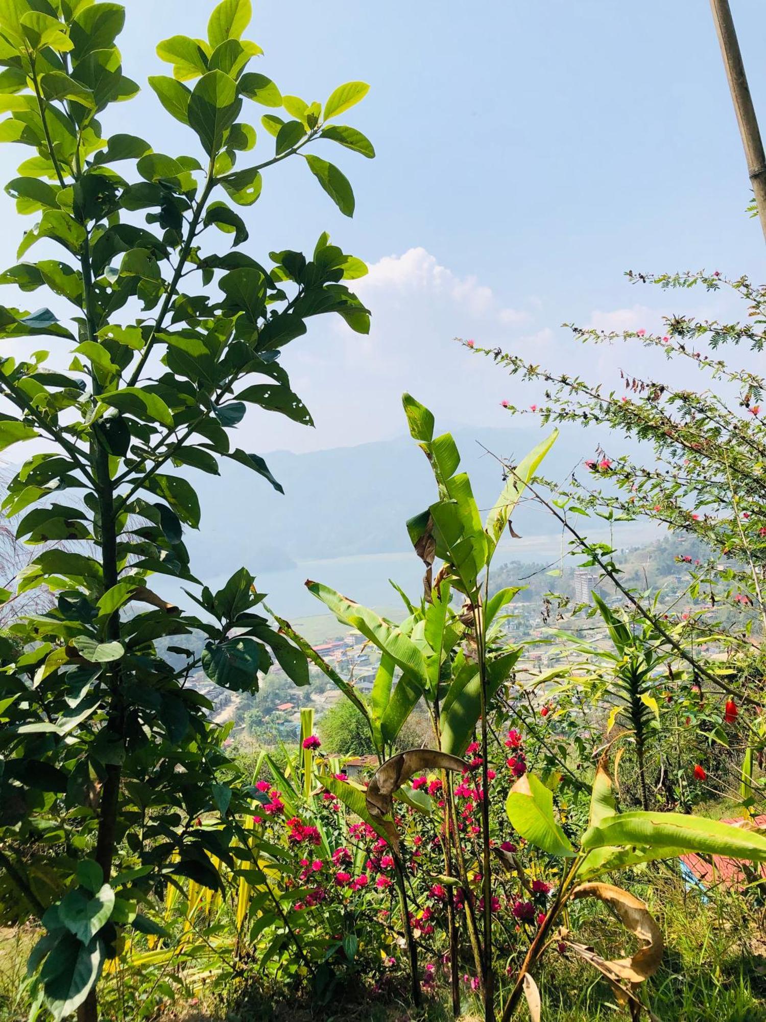 Into The Wild Pokhara Villa Kāskī Екстериор снимка